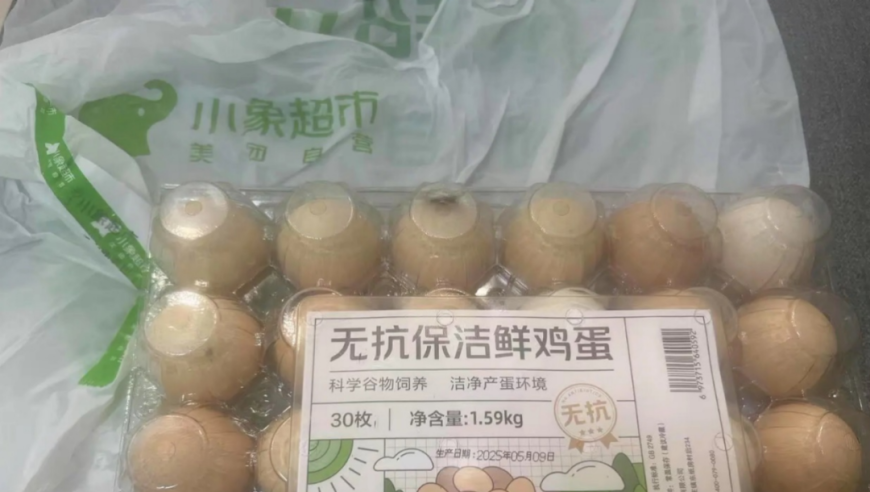 澳门彩开奖现场直播结果2025,第六届长春冰雪新天地将闭园,广泛的解释落实支持计划_AndroidV3.29