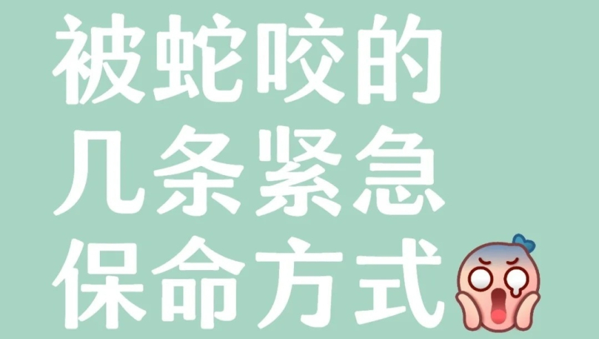 2025管家婆一肖一码资料图库,请选择你的天气男友,整体规划执行讲解_增强版V6.46